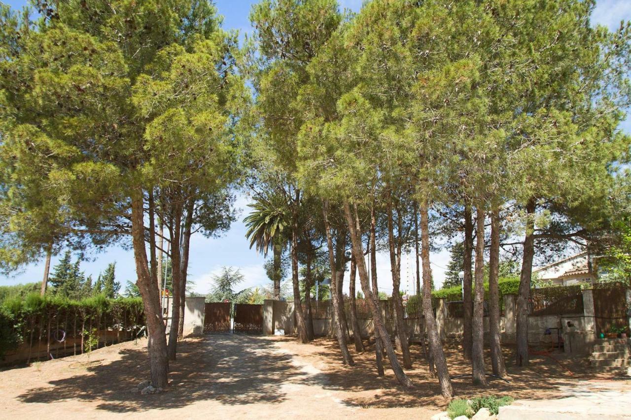 AlcoverMenta House Preciosa Eco-Casa Con Gran Jardin Y Barbacoa别墅 外观 照片